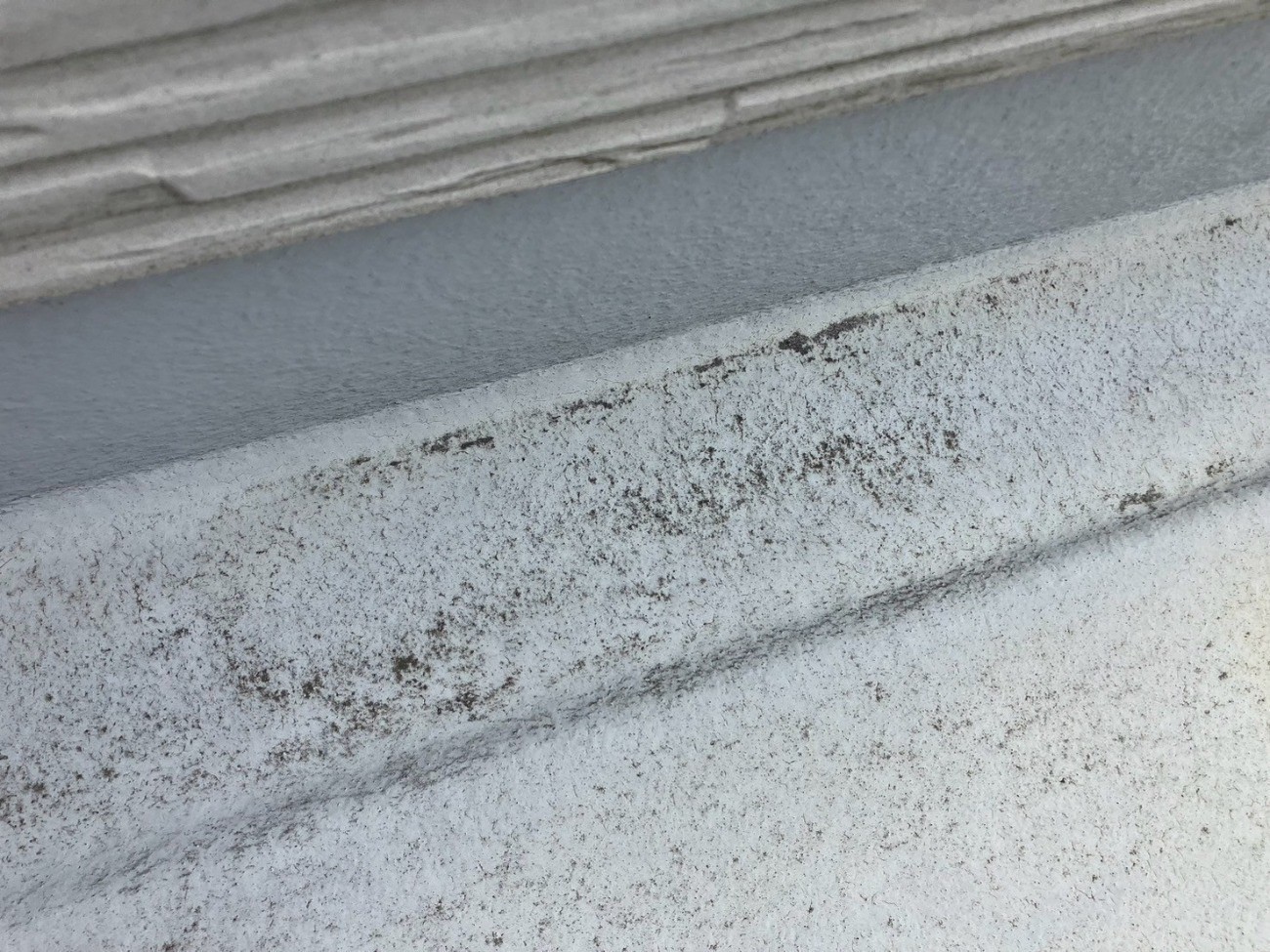瀬戸市｜築20年でベランダ床のウレタン防水！既存下地が良好で密着工法を採用。立ち上がり部分にも注意